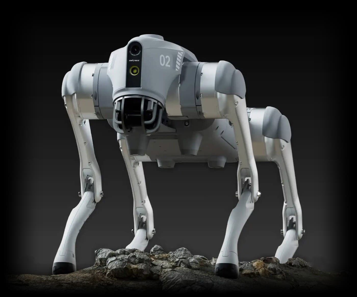 Unitree Go2 quadruped robot standing on rocky terrain against a dark background